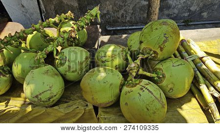 Green Coconuts. Preparing For The Opening Coconuts.
Group Of Coconut.