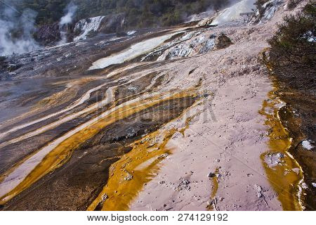 Emerald Terrace In Orakei Korako Geothermal Park In New Zealand