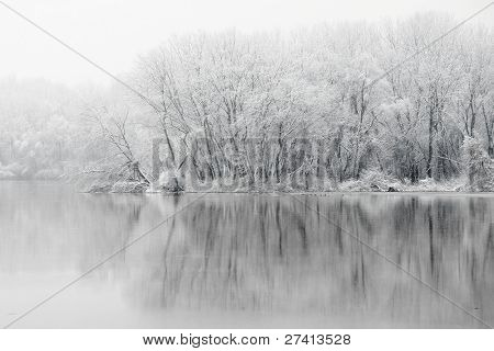 Frosne skov på riverside