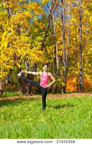 Yoga Utthita Parshvasahita