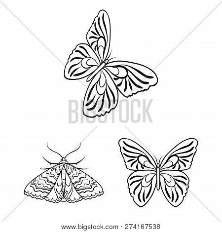 Vector Design Of Color And Spring Logo. Set Of Color And Fly Stock Vector Illustration.