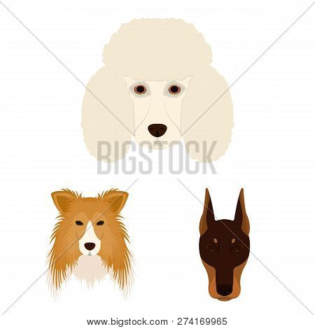 Vector Design Of Cute And Puppy Sign. Set Of Cute And Animal Stock Vector Illustration.