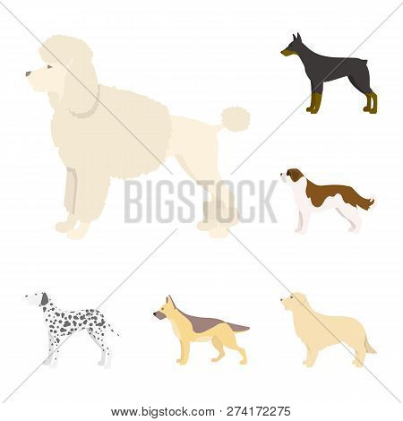 Vector Design Of Cute And Puppy Icon. Collection Of Cute And Animal Stock Vector Illustration.
