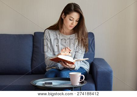 Photo Of Attractive Concentrated Young Woman In Jumper, Focused In Book, Sits At Comfortable Sofa, D