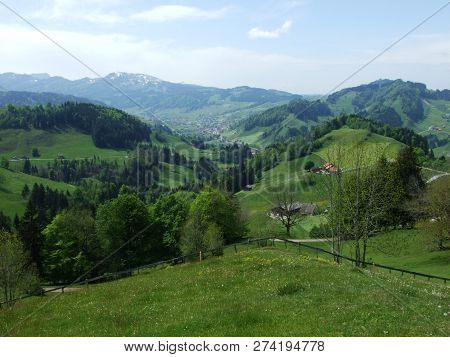 Pastures And Hills Of The Zürchersmühle Village - Canton Of Appenzell Ausserrhoden, Switzerland