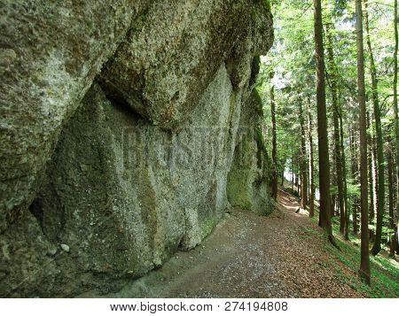 Rocks Between The Zürchersmühle And The Hundwiler Höhi Peak - Canton Of Appenzell Ausserrhoden, Swit