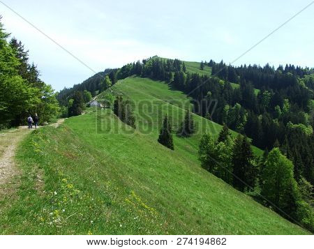 Pastures And Hills Of The Zürchersmühle Village - Canton Of Appenzell Ausserrhoden, Switzerland