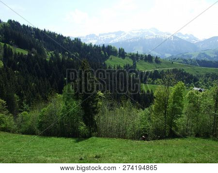 Pastures And Hills Of The Zürchersmühle Village - Canton Of Appenzell Ausserrhoden, Switzerland
