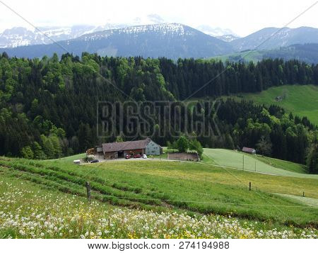 Farms And Pastures Of The Zürchersmühle Village - Canton Of Appenzell Ausserrhoden, Switzerland