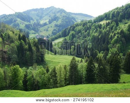 Pastures And Hills Of The Zürchersmühle Village - Canton Of Appenzell Ausserrhoden, Switzerland