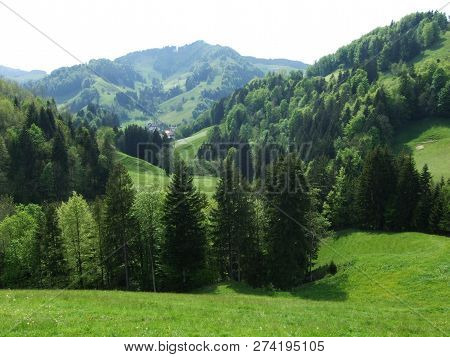 Pastures And Hills Of The Zürchersmühle Village - Canton Of Appenzell Ausserrhoden, Switzerland