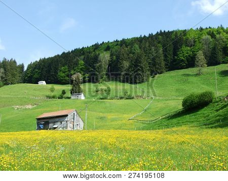 Farms And Pastures Of The Zürchersmühle Village - Canton Of Appenzell Ausserrhoden, Switzerland