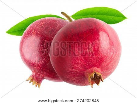 Two Pomegranates On A Bransh Isolated On White Background With Clipping Path