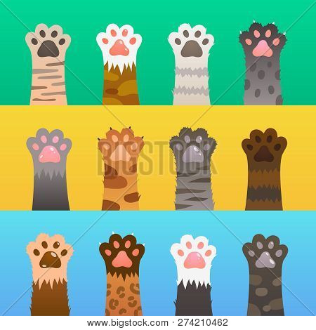 Cats Paw Flat. Cat Paws Claw Hand, Cartoon Cute Animal, Fur Funny Wild Hunter. Kitten Friendship Vec
