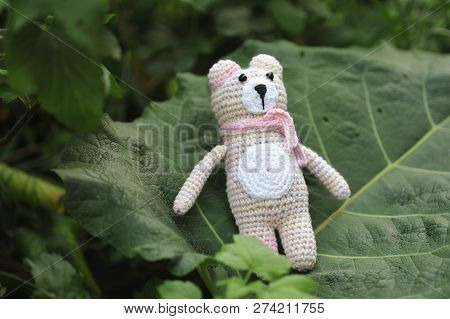 Amigurumi Toy. Teddybear