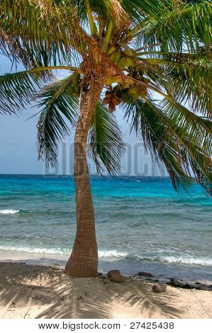 Belize