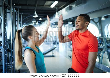 Young intercultural successful trainers giving high five to one another in modern fitness center