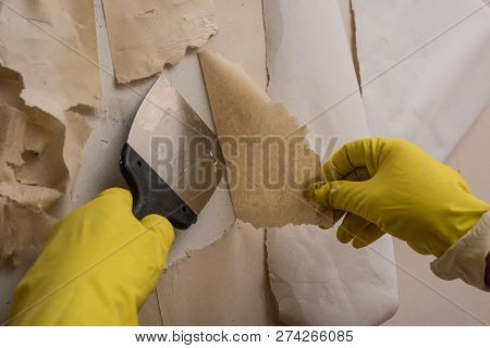 Cleaning The Wall From Old Wallpaper