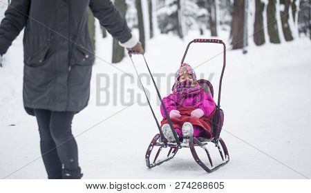 Mom Carries Her Daughter On A Sled, A Family Walk.