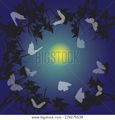 Background With Night Sky, Silhouettes Of Trees And Night Butterflies
