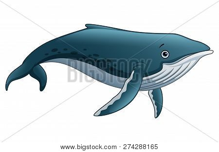 Vector Illustration Of  Funny Sperm Whale Cartoon