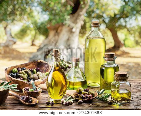 Olive oil and berries are on the wooden table under the olive tree.