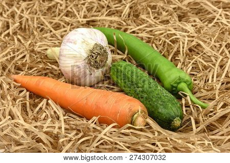 Carrot, Cucumber, Green Pepper, Garlic With Straw. Fresh Vegetab