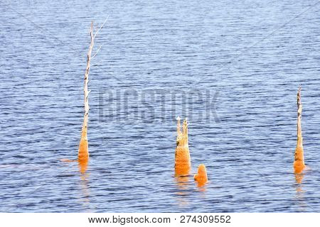 Copper Red Polluted Lake Mine In Gossan Cobre Huelva Spain