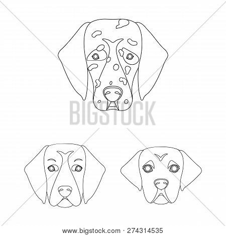 Vector Illustration Of Cute And Puppy Logo. Collection Of Cute And Animal Stock Vector Illustration.
