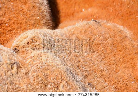 Copper Red Polluted Lake Mine In Gossan Cobre Huelva Spain