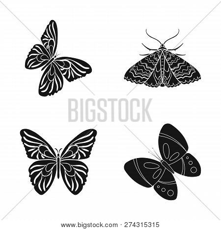 Vector Design Of Color And Spring Symbol. Collection Of Color And Fly Stock Vector Illustration.