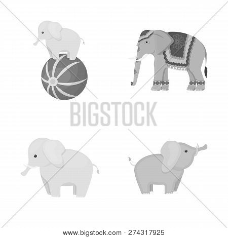 Vector Design Of Elephant And Asian Icon. Set Of Elephant And Elephant Stock Vector Illustration.
