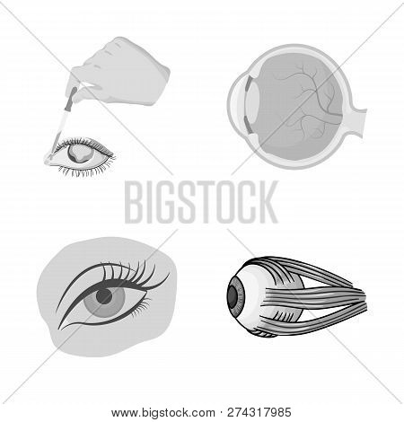 Vector Illustration Of Medical And Eyeball Logo. Collection Of Medical And Optical Stock Symbol For 