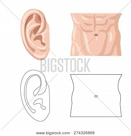 Vector Design Of Human And Part Icon. Collection Of Human And Woman Vector Icon For Stock.