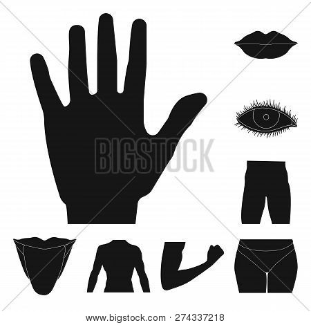 Isolated Object Of Human And Part Icon. Set Of Human And Woman Vector Icon For Stock.