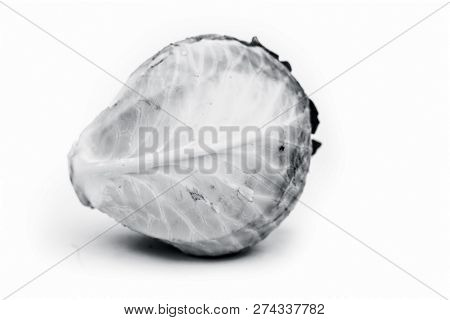 Close Up Of Fresh Organic Cabbage Or Gobi Or Patta Gobi Or Brassica Oleracea Var. Capitata Isolated