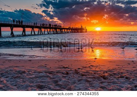 Seagulls On Glenelg Beach With People On Jetty On Background At Sunset, South Australia