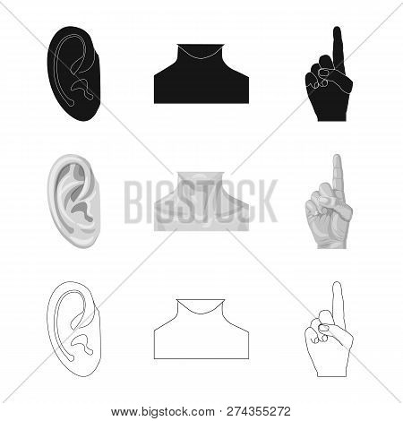 Vector Illustration Of Human And Part Sign. Set Of Human And Woman Vector Icon For Stock.
