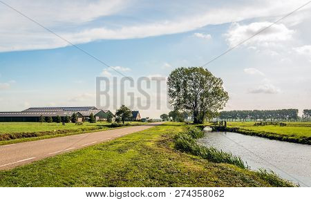 Typical Dutch Polder Landscape. In The Background Are A Large Tree, A Small Bridge Over The Water An