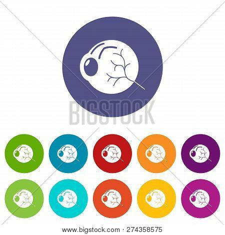 Human Eye Icons Color Set For Any Web Design On White Background