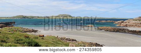 Panoramic View From Fionnphort On The Isle Of Mull, Across The Bay To The Isle Of Iona. On A Beautif