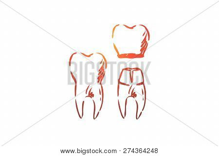 Crown, Dental, Root, Tooth, Health Concept. Hand Drawn Teeth With Crown Concept Sketch. Isolated Vec