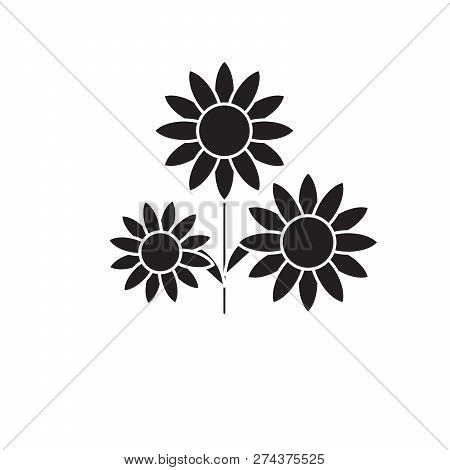 Buttercup Black Vector Concept Icon. Buttercup Flat Illustration, Sign