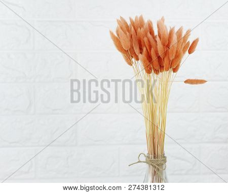 Bunny(rabbit) Tail Grass, Lagurus Dry Flower Bouquet On Wooden Background