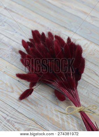 Bunny(rabbit) Tail Grass, Lagurus Dry Flower Bouquet On Wooden Background