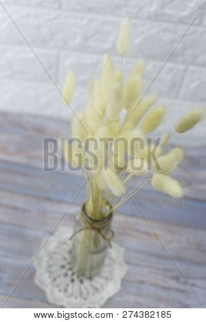 Bunny(rabbit) Tail Grass, Lagurus Dry Flower Bouquet On Wooden Background