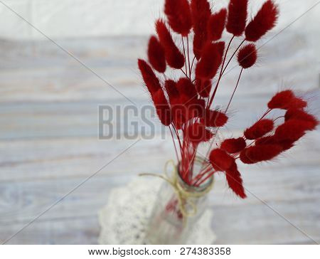 Bunny(rabbit) Tail Grass, Lagurus Dry Flower Bouquet On Wooden Background