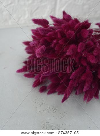 Bunny(rabbit) Tail Grass, Lagurus Dry Flower Bouquet On Wooden Background