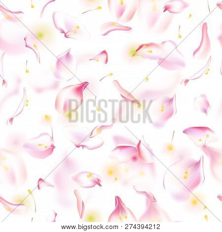 Vector Seamless Pattern With Floral Petals. Floral Background With Flowers, Petal, Blurred Petals An
