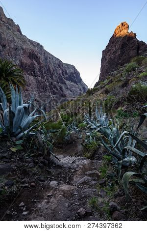 Trail In The Gorge Maska, Tenerife Spain